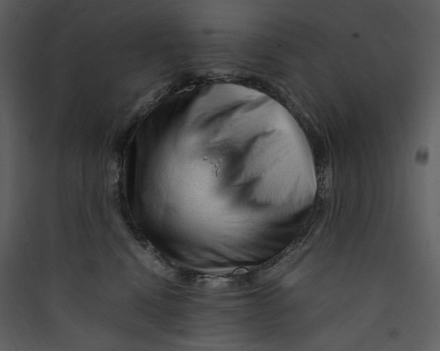 X0000089360472200707131618