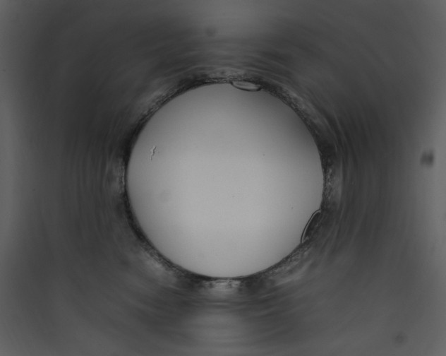 X0000089360474200707131618
