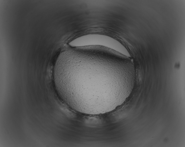 X0000089360475200707131618