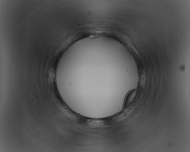 X0000089360476200707131618