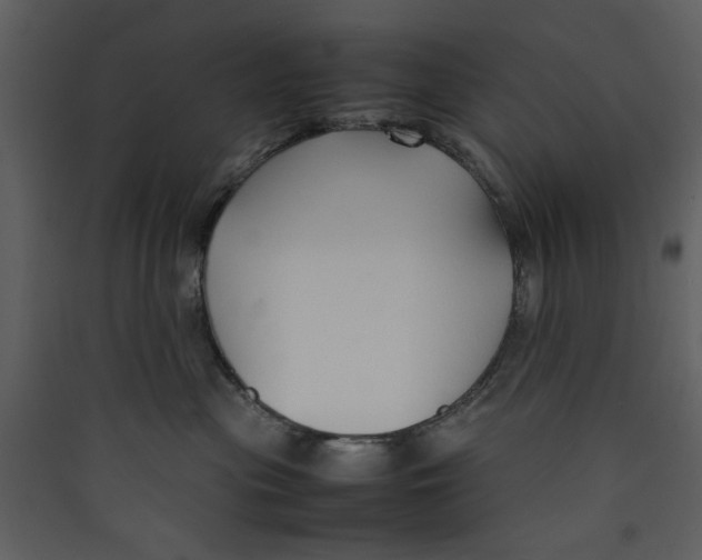 X0000089360477200707131618