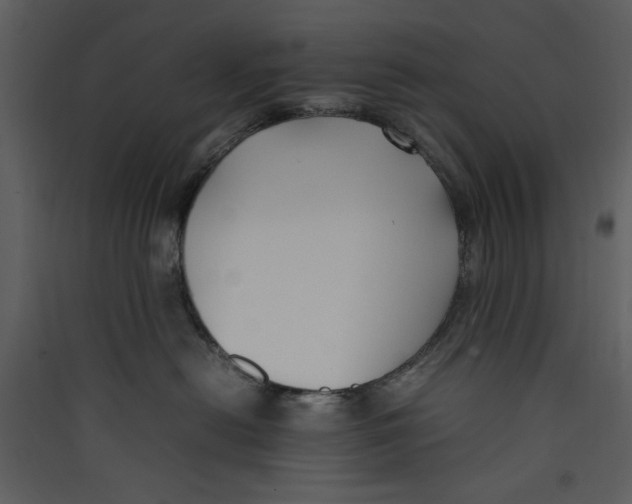 X0000089360478200707131618