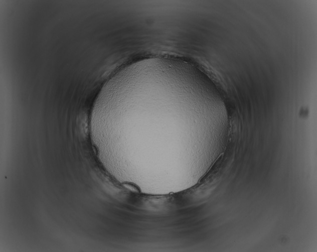 X0000089360479200707131618