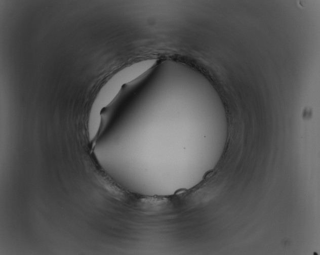 X0000089360480200707131618
