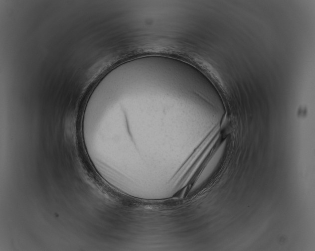 X0000089360482200707131618