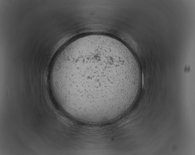 X0000089360483200707131618