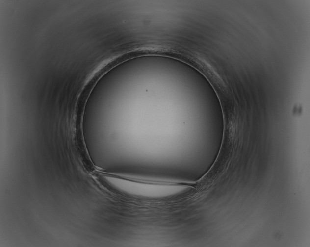 X0000089360484200707131618