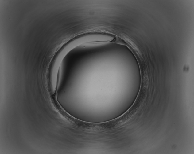 X0000089360485200707131618