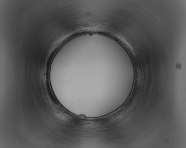 X0000089360486200707131618