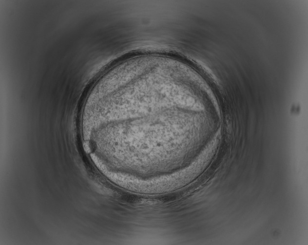 X0000089360487200707131618