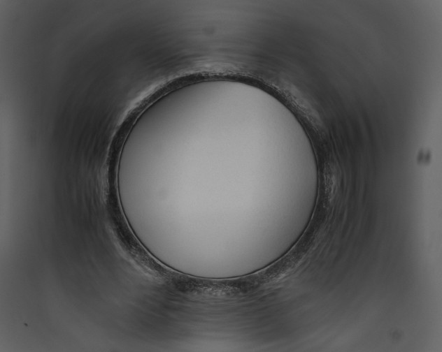 X0000089360488200707131618