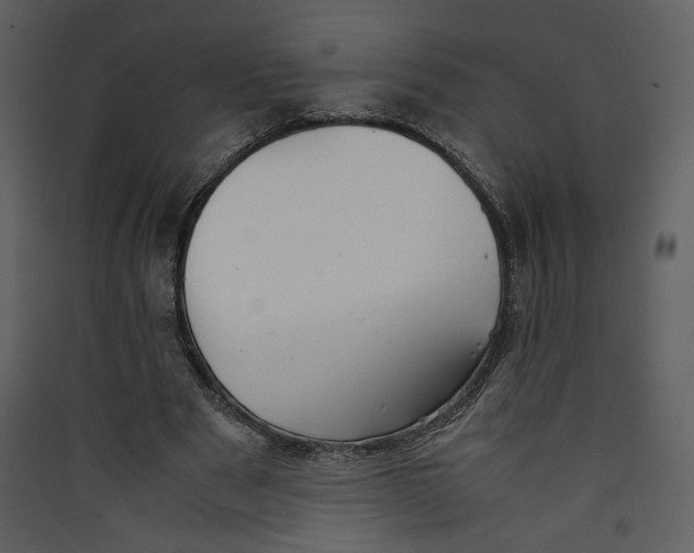 X0000089360489200707131618