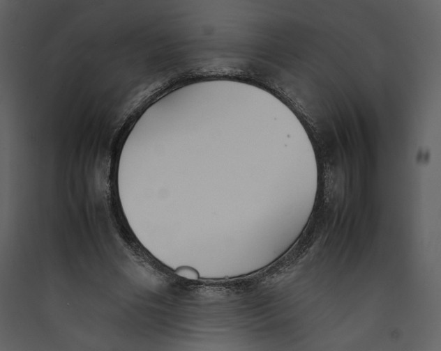X0000089360490200707131618