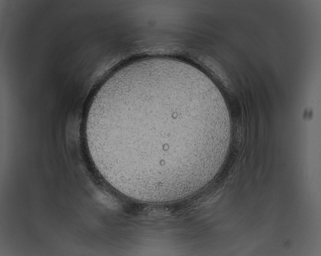 X0000089360491200707131618