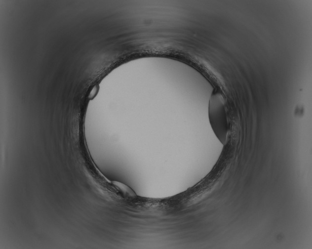 X0000089360493200707131618