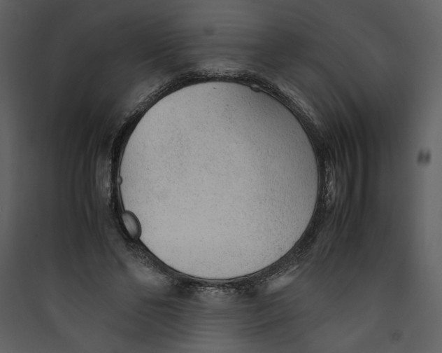 X0000089360494200707131618