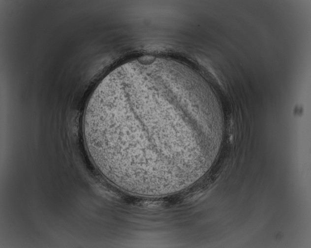 X0000089360495200707131618