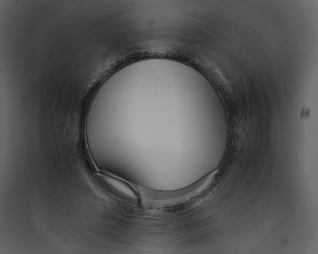 X0000089360496200707131618