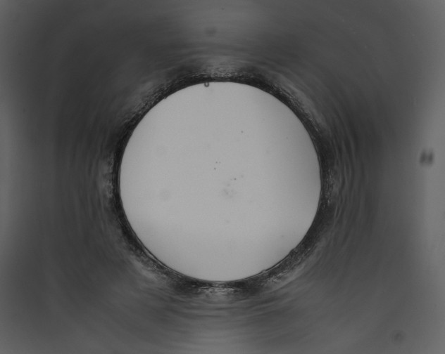 X0000089360497200707131618