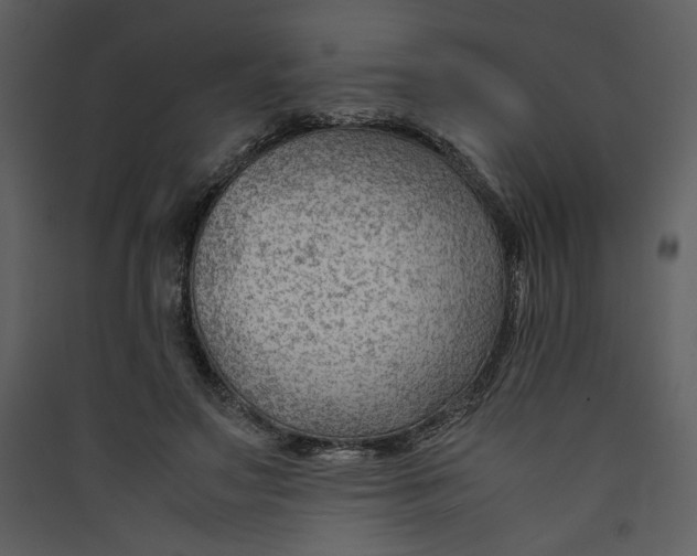 X0000089360499200707131617