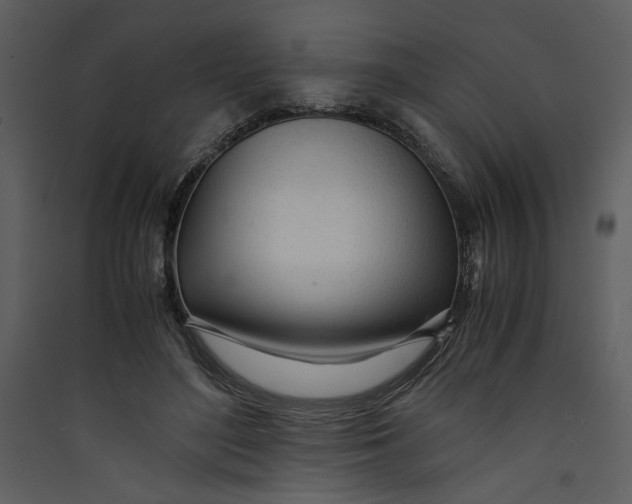 X0000089360500200707131617