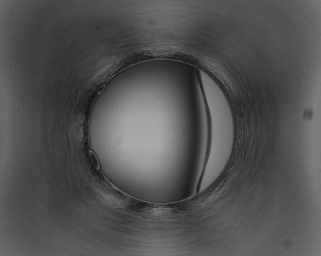 X0000089360501200707131617