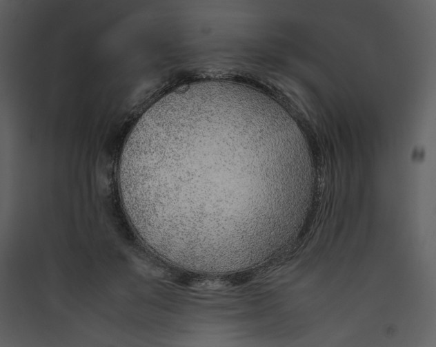 X0000089360503200707131617