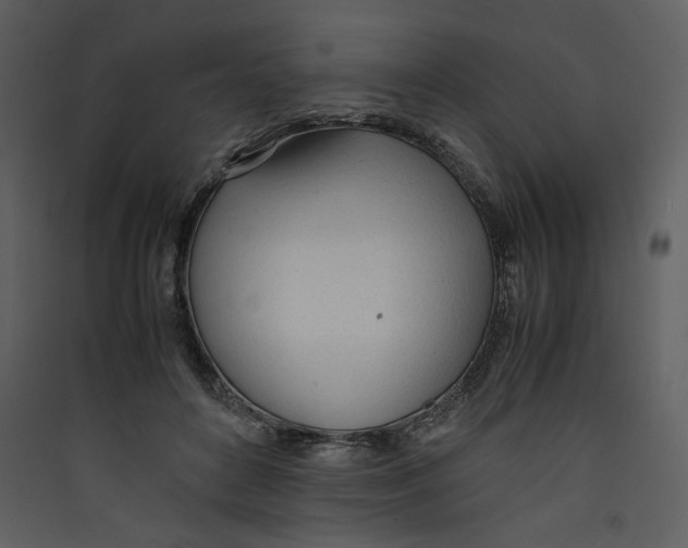 X0000089360504200707131617