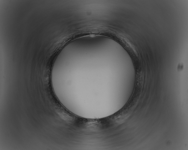 X0000089360505200707131617