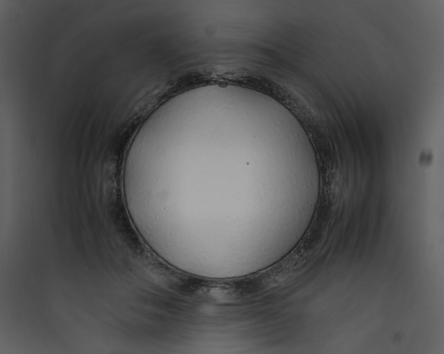 X0000089360506200707131617