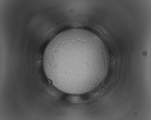 X0000089360507200707131617