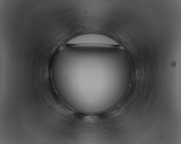 X0000089360508200707131617