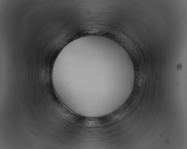 X0000089360510200707131617