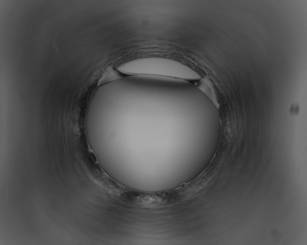 X0000089360512200707131617