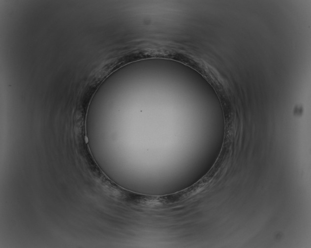 X0000089360513200707131617