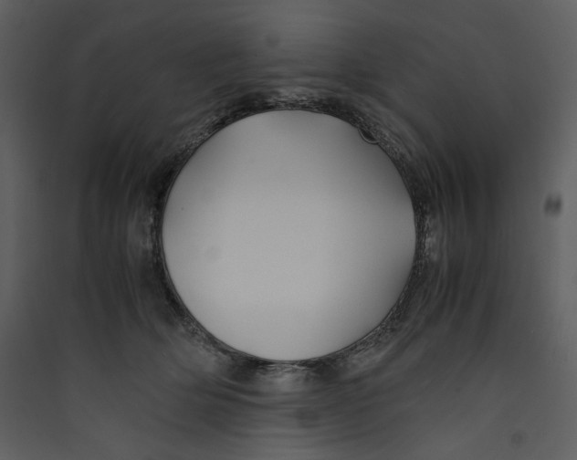X0000089360514200707131617