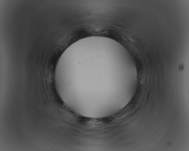 X0000089360515200707131617