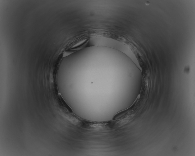 X0000089360516200707131617