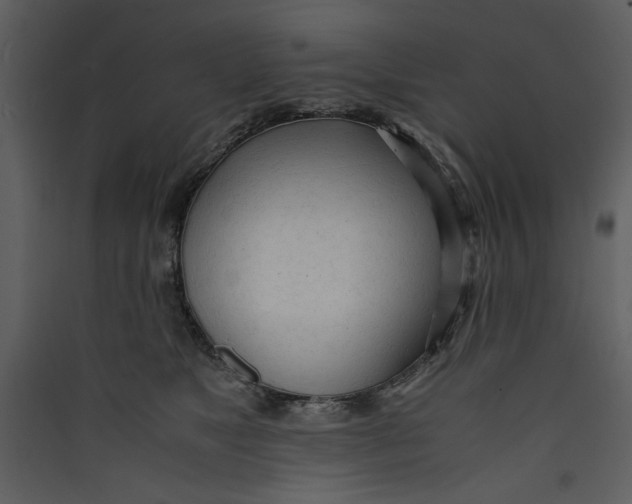 X0000089360517200707131617