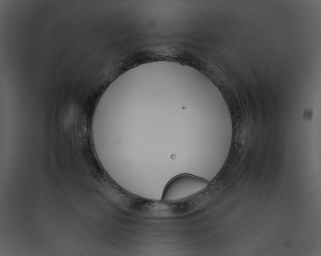 X0000089360518200707131617