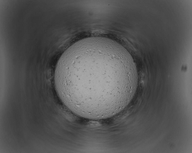 X0000089360519200707131617