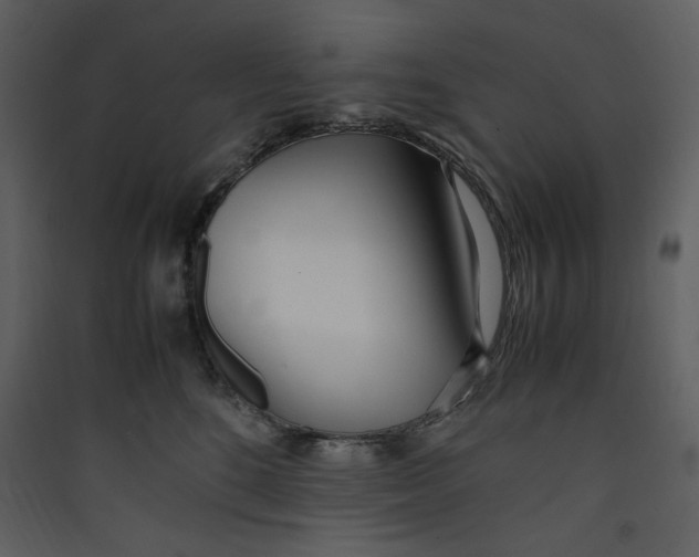 X0000089360520200707131617