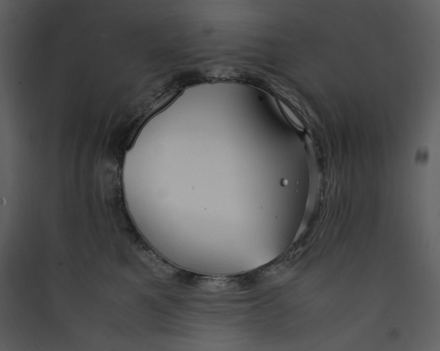X0000089360521200707131617