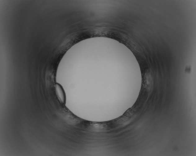 X0000089360522200707131617