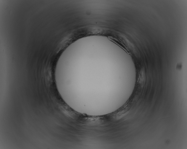 X0000089360524200707131617