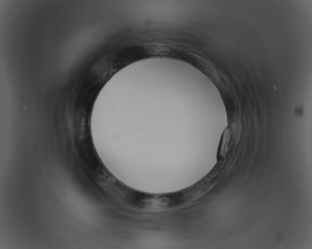 X0000089360525200707131617