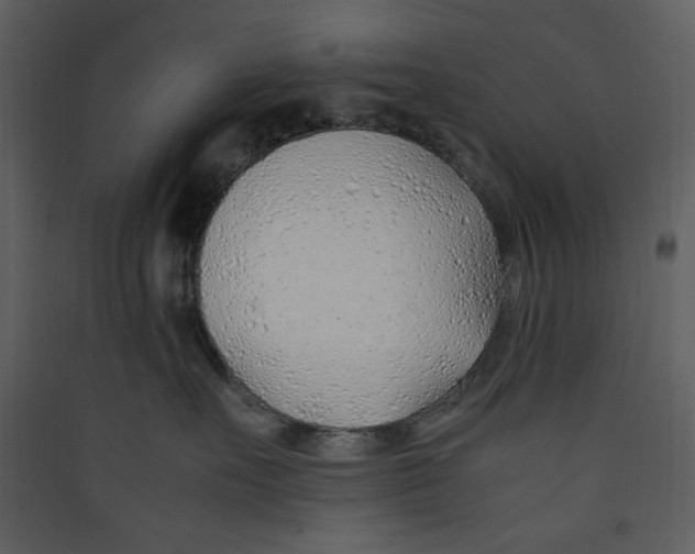 X0000089360527200707131617