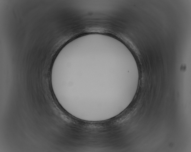 X0000089360529200707131617