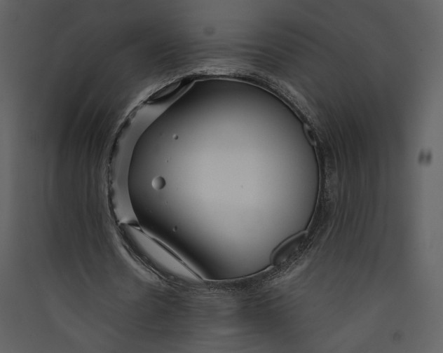 X0000089360530200707131617
