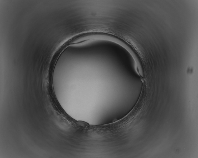 X0000089360532200707131617
